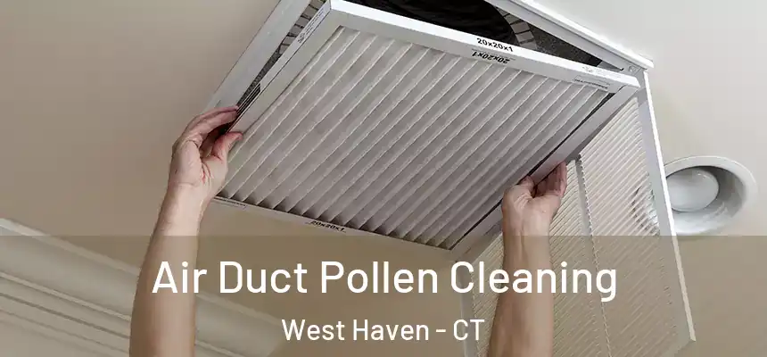  Air Duct Pollen Cleaning West Haven - CT