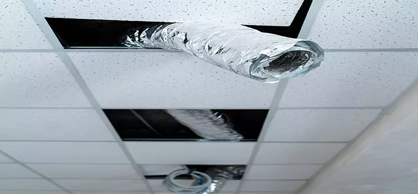 Affordable HVAC Sanitizing After Pest Removal in West Haven