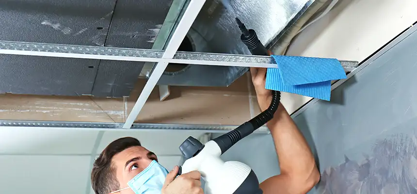 Our Air Duct Rodent Removal Services in West Haven, CT