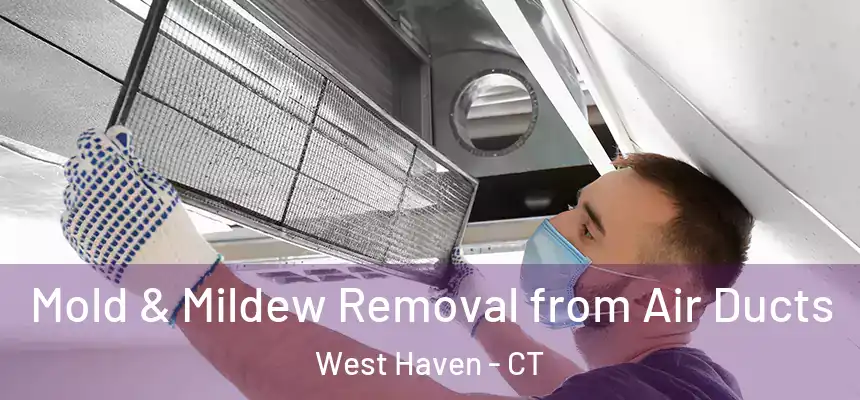  Mold & Mildew Removal from Air Ducts West Haven - CT
