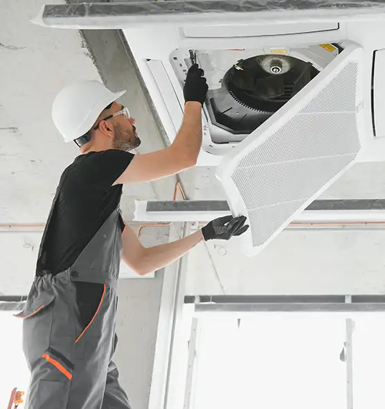 About Air Duct Rodent Removal in West Haven, CT