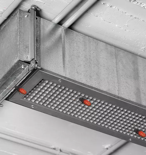 Affordable Insect Removal from Air Ducts in West Haven, CT