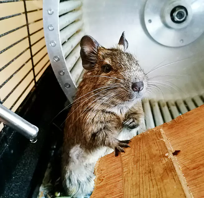 Why Homeowners & Businesses Trust Us West Haven, CT