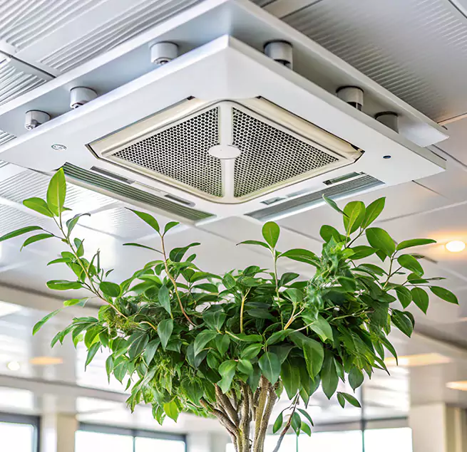 Why Homeowners & Businesses Trust Us in West Haven, CT